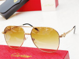 Replica Cartier Sunglasses fdCT0616S Sunglasses CR184