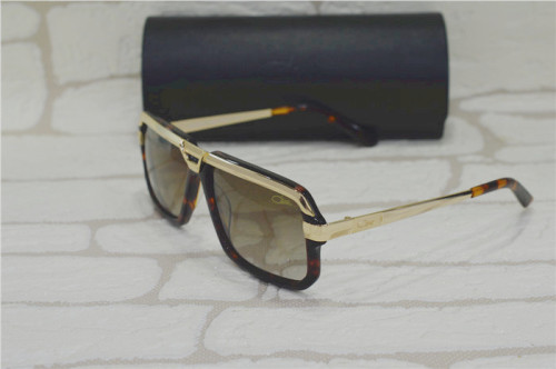 sunglasses 22 frames SCZ103