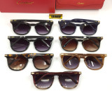 Wholesale Replica Cartier Sunglasses CT0010 Online CR133