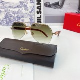 Cartier Sunglasses Wood Leg CT0673 Wooden CR160