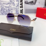 Cartier Sunglasses Wood Leg CT0673 Wooden CR160