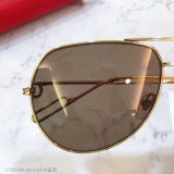 Replica Cartier Sunglasses CT0110S CR168