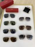 Cartier CT0229S aaa replica sunglasses CR173