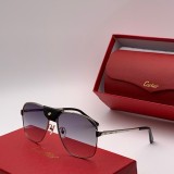 Wholesale Replica Cartier Sunglasses CT0035S Online CR122