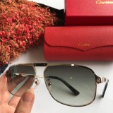 Wholesale Replica Cartier Sunglasses CT0102S Online CR125