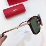 Replica Cartier Sunglasses CT0075S CR167