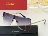Cartier CT0123 High Quality Replica Sunglasses CR170