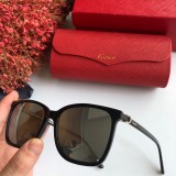Wholesale Fake Cartier Sunglasses CT0002S Online CR118