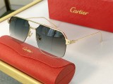 Cartier CT0229S aaa replica sunglasses CR173 black gold.