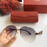 Wholesale Replica 2020 Spring New Arrivals for Cartier Sunglasses CT8200986 Online CR137