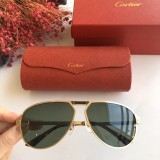 Copy Cartier Sunglasses CT0101S Online CR141