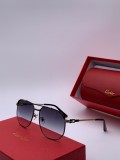 Wholesale Replica Cartier Sunglasses CT0109 Online CR128