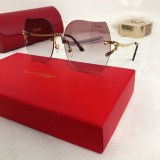 Cartier Sunglasses Wooden CT0272S CR142