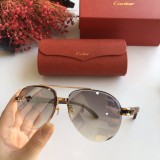 Wholesale Replica 2020 Spring New Arrivals for Cartier Sunglasses CT8200986 Online CR137