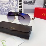 Cartier Sunglasses Wood Leg CT0672 Wooden CR159