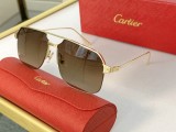 Cartier CT0229S aaa replica sunglasses CR173