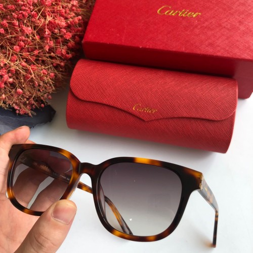 Wholesale Copy Cartier Sunglasses CT0004S Online CR119