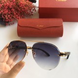 Wholesale Replica 2020 Spring New Arrivals for Cartier Sunglasses CT8200986 Online CR137