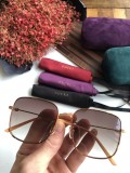 Wholesale Copy GUCCI Sunglasses GG0445O Online SG554