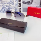 Replica Cartier Sunglasses Cartier glass CT0569 CR163