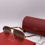Wholesale Replica Cartier Sunglasses CT0101 Online CR111