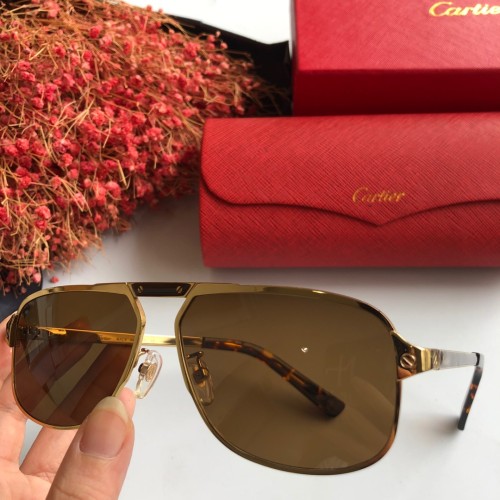 Wholesale Replica Cartier Sunglasses CT0102S Online CR125