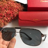 Wholesale Replica Cartier Sunglasses CT0102S Online CR125