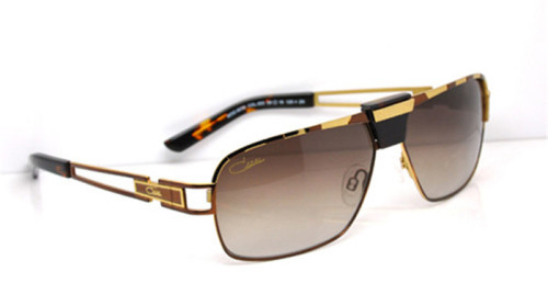 sunglasses SCZ006