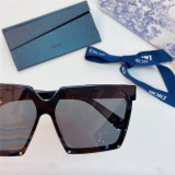 Copy Dior Sunglasses for Women CD2668 Sunglasses Brands SC153