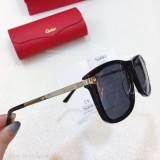 Replica Cartier Sunglasses CT0075S CR167