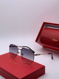 Wholesale Replica Cartier Sunglasses CT0109 Online CR128