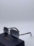 Wholesale Replica CHOPARD Sunglasses SCHB66S Online SCH160
