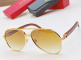 Buy Sunglasses brands Cartier Sunglass CT0272S CR187