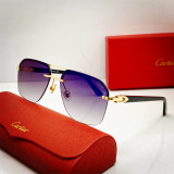 Buy sunglasses brands Cartier 0276 Replica CR189