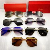 Buy sunglasses brands Cartier 0276 Replica CR189