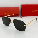 Cartier Polarized Sunglasses for Women & Men 0281 CR191