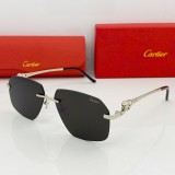 Cartier Polarized Sunglasses for Women & Men 0281 CR191