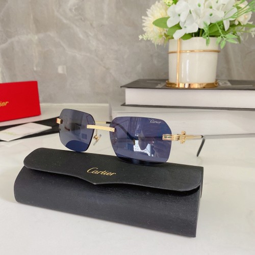 Cartier Sunglasses CT0271 CR193