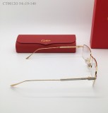 Cartier Eyewear CT00120 FCA236