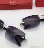 Cartier Wooden Sunglasses CT0047S CR194
