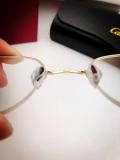 Cartier Eyeglasses Titanium CT0164O FCA259