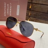 The Best Sunglasses for Hiking & Outdoor Activities Cartier CT0271 CR196