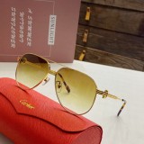 The Best Sunglasses for Hiking & Outdoor Activities Cartier CT0271 CR196