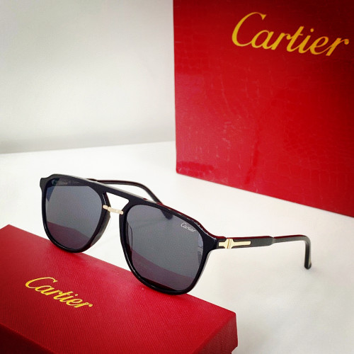 Cartier Women's Sunglasses CT0320 CR198