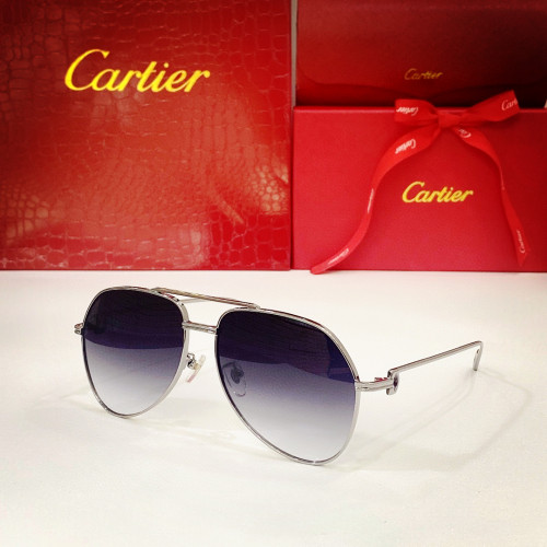 Cartier Sunglass CT0110S CR201