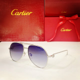 Cartier Sunglass CT0110S CR201
