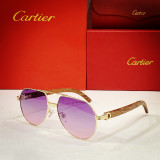 Cartier Sunglasses Wood CT0272 CR034