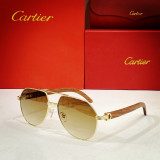Cartier Sunglasses Wood CT0272 CR034