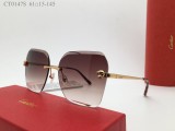 Top Sunglasses Brands For Men Cartier CT0147S CR203