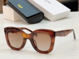 CELINE Sunglasses Cheap CL4005FN CLE072